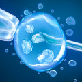 Intracytoplasmic Sperm Injection (ICSI): An In-Depth Look at Assisted Reproductive Technology (ART)
