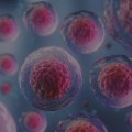 IVF with Frozen Embryos: A Comprehensive Overview