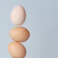 Understanding Egg Donation: Costs and Procedures