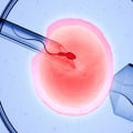 Live Birth Rates with IVF by Age Group