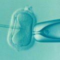 Comparing IVF Success Rates Between Clinics
