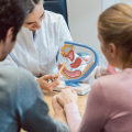 Understanding the Steps in the IVF Process