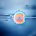 Understanding In-vitro Fertilization (IVF)