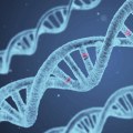 Genetic Factors and IVF Success Rates