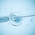 Everything You Need to Know About Embryo Transfer Process for Surrogacy