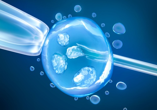 Intracytoplasmic Sperm Injection (ICSI): An In-Depth Look at Assisted Reproductive Technology (ART)