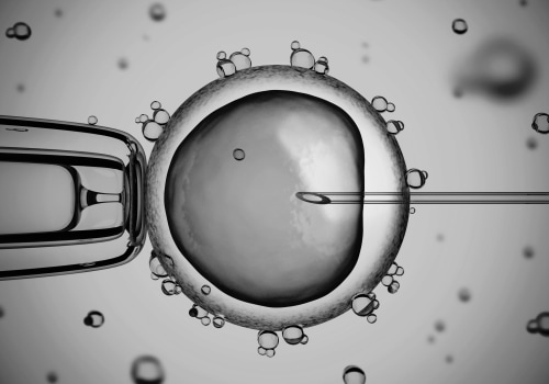 Consent Forms for Egg Donation: A Legal Perspective