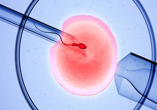 Live Birth Rates with IVF by Age Group