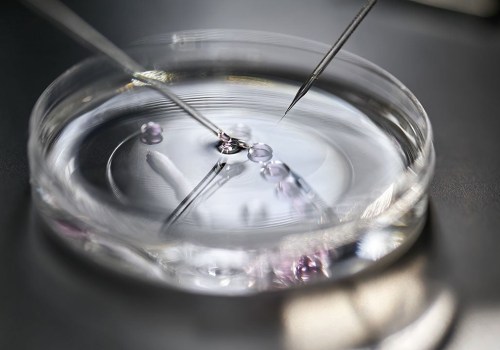 Medical Loans for IVF Treatment: An Overview of Financing Options