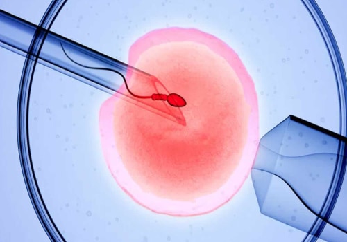 Clinical Pregnancy Rates by Number of Embryos Transferred with IVF