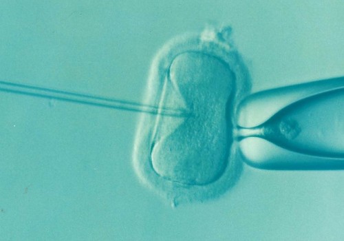 Comparing IVF Success Rates Between Clinics