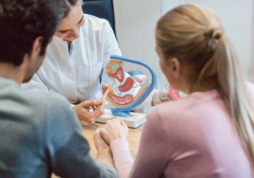 Understanding the Steps in the IVF Process