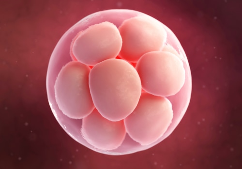 Compensating an Egg Donor: What to Consider