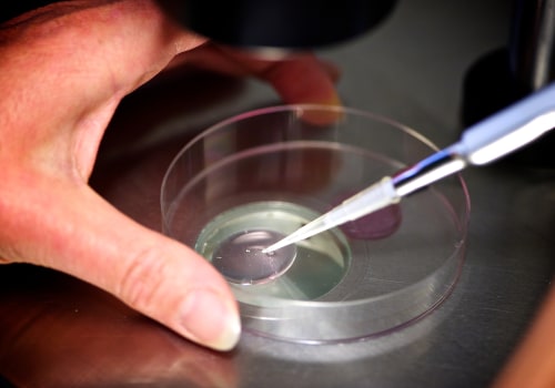 Understanding Blastocyst Culture in IVF