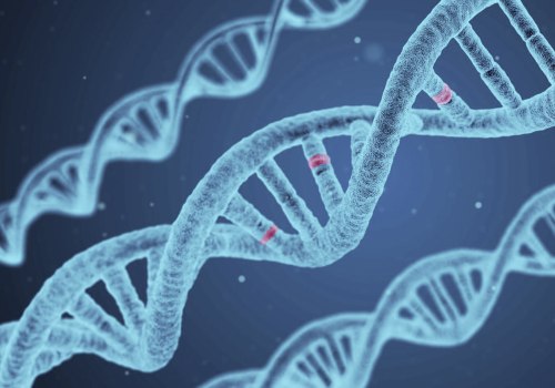 Genetic Factors and IVF Success Rates