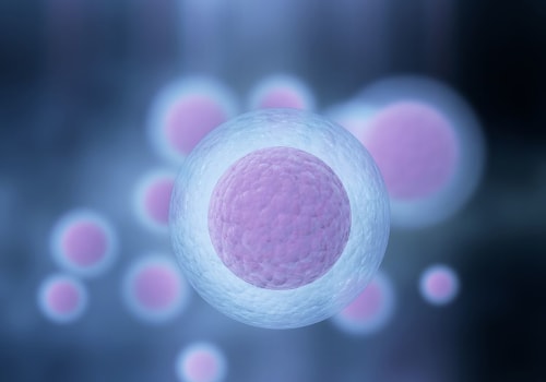 Exploring the Implications of Multiples on IVF Success Rates