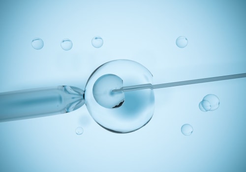 Everything You Need to Know About Embryo Transfer Process for Surrogacy