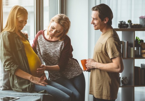Exploring Traditional Surrogacy Programs